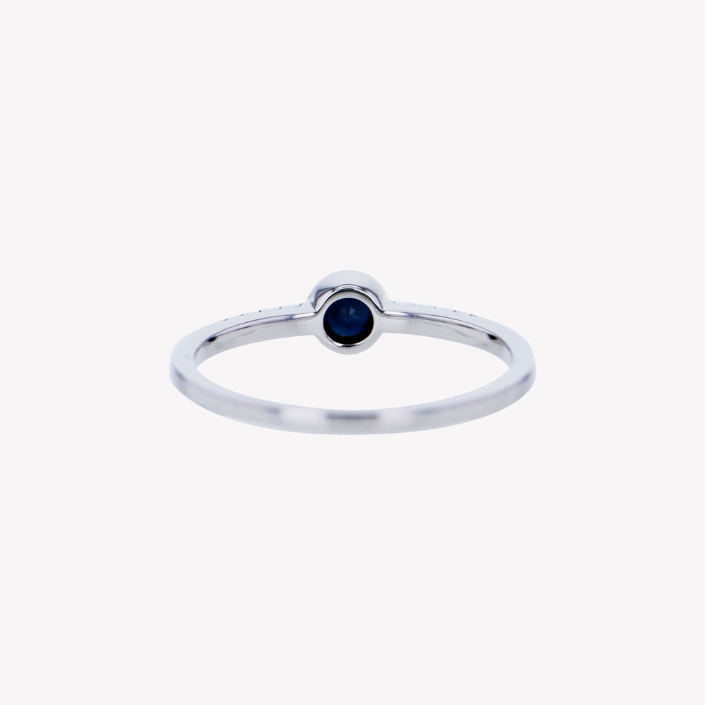 
                  
                    Blue Sapphire Birthstone Ring
                  
                